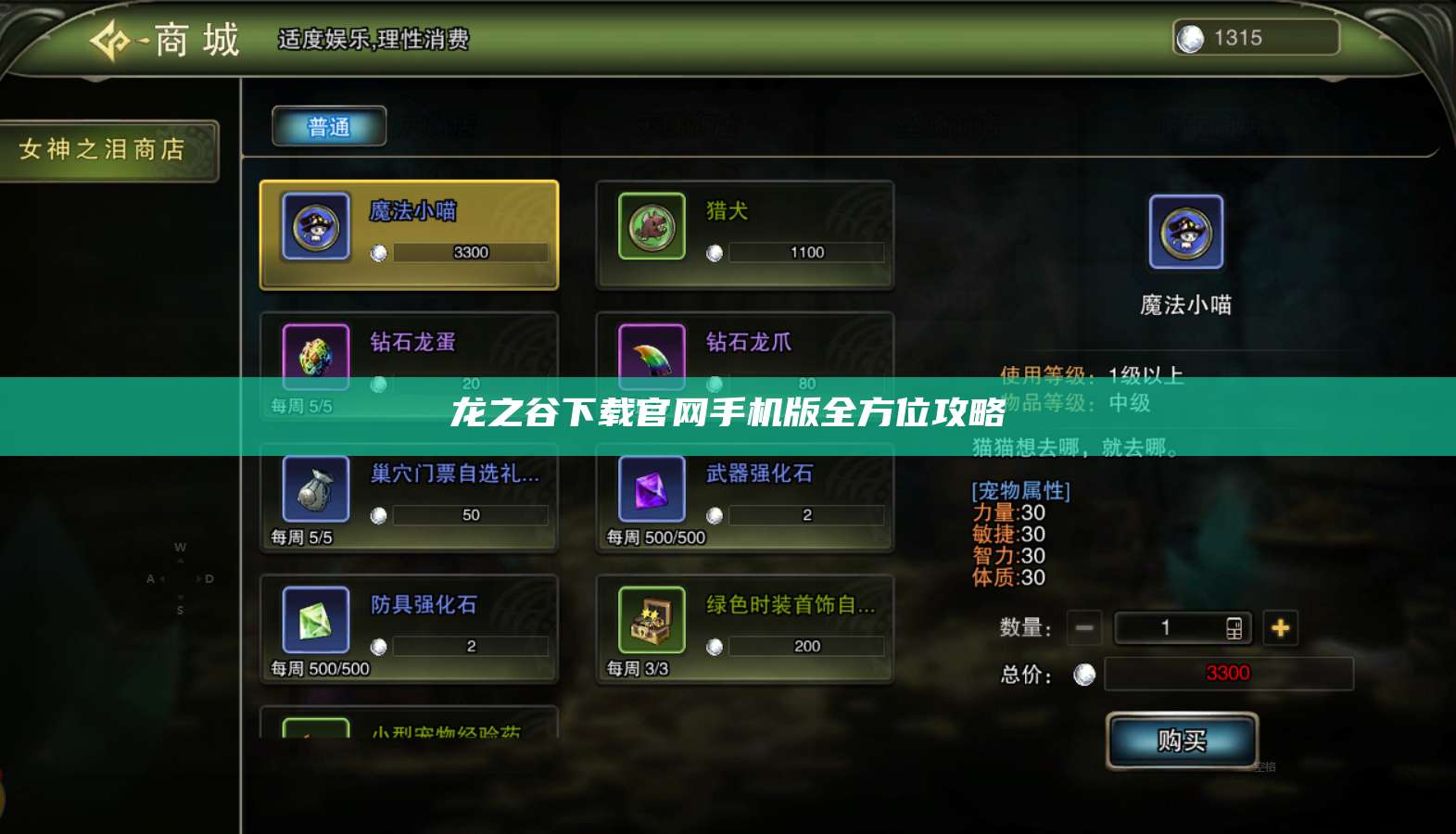 龙之谷下载官网手机版全方位攻略 第1张